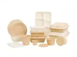 Find the Best Paper Cups and Plates Manufacturer, $ 0