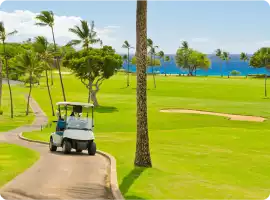 Stress-Free Golf Bag Shipping, Owasso