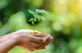 Hire Premium ISO 14001 Consulting Services Today!, Salt Lake City