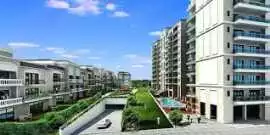 MSN Realty Hyderabad Future-Ready Property Deals, Hyderabad