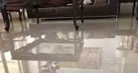 White Marble Polishing Services in Neb Sarai, Delhi
