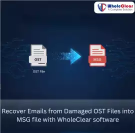 Recover Emails from Damaged OST Files into MSG fil, ps 29
