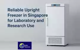 Reliable Upright Freezer in Singapore for Laborato, Bukit Timah
