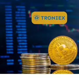 Build Your Own Decentralized Exchange Platform, Madurai