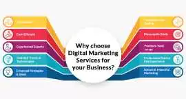 Why Choosing the Best Digital Marketing Agency Mat, Noida