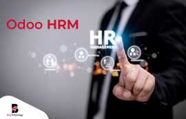 Odoo HRM - Balj Technology, New York