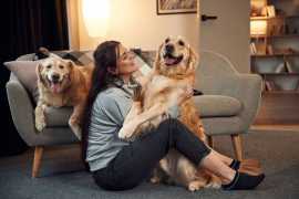 How Does Neglecting Pet Grooming Lead to Health , Chicago
