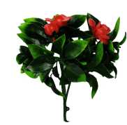 Bring Nature Home Explore Artificial Plants flower, $ 10