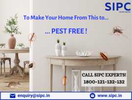 Pest Control Services in Kochi, Kochi
