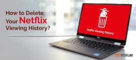 Delete Your Netflix Viewing History, New York