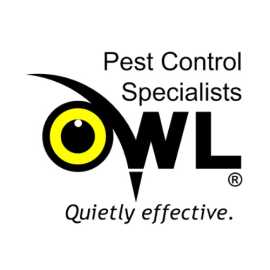 Finest Pest Control Service in Dublin, Dublin