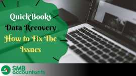 Understanding QuickBooks Auto Data Recovery, Naples