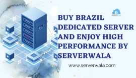 Buy Brazil Dedicated Server and Enjoy High Perform, Arapiraca