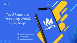 Top 5 reasons to trade using WazirX Clone Script, Madurai