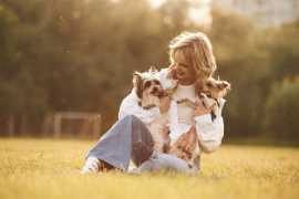 From Expert Pet Groomers: 8 Grooming Routines, Chicago
