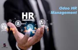 Odoo HR Management - Balj Technology, New York