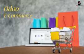 Odoo E Commerce - Balj Technology, New York