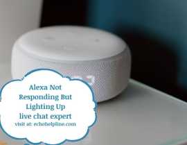 Fixed: Alexa not responding but lighting Up, Haltom City