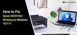 Epson M205 Not Working on Windows 10/11, New York Mills