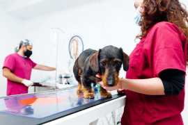 Professional Grooming: 7 Ways Grooming Influences , Chicago