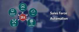 Sales Force Automation App Redefined, Noida