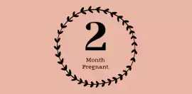 2 Months Pregnant Milestones and Tips, Mumbai
