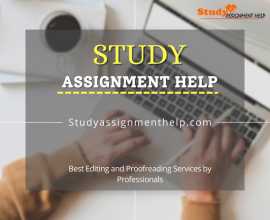 24/7 Expert Assistance by Study Assignment Help UK, London