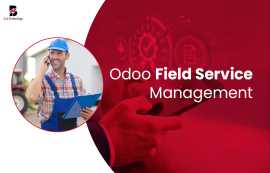 Odoo Field Service Management - Balj Technology, New York