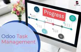 Odoo Task Management - Balj Technology, New York