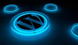 Acquire Custom WordPress Development Services, Delhi