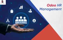 Odoo HR Management | Balj Technology., New York