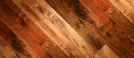 Premium Elmwood Lumber for Sale, Chicago