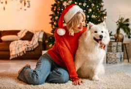 Grooming Cheer: Creating a Holiday Atmosphere , Chicago