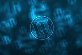 Custom WordPress Development Services for Business, Delhi