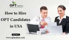 How to Hire OPT Candidates in USA, Gurgaon