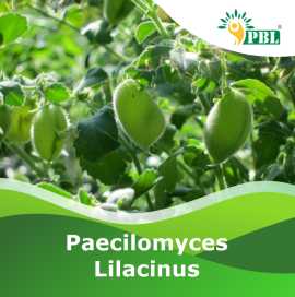 Paecilomyces lilacinus at Peptech Biosciemces, $ 0