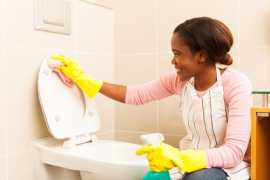 Professional Home Cleaning Services in VA, Roanoke