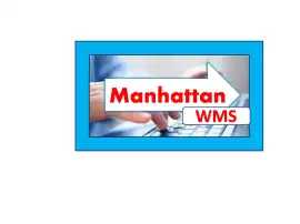 Best Online Manhattan WMS Training | Techsolidity, New York