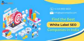 Best White Label SEO Companies in India, Noida