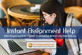 Get Instant Assignment Help By Professionals, Melbourne