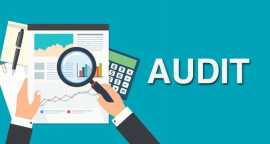 Top Reliable Audit Firms In Delhi, New Delhi