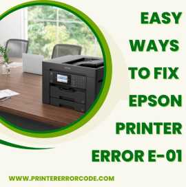 Simple Solutions for Epson Printer Error E-01, Haltom City