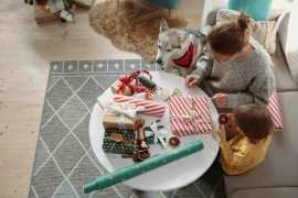 A Stress-Free Fur-iday: Grooming Hacks for a Relax, Chicago