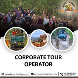 Corporate tour operators | bigcatholiday.com, Jaipur
