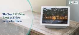 E195 Nest Error, New York Mills
