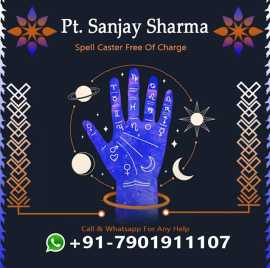 Free Spell Caster, Chandigarh