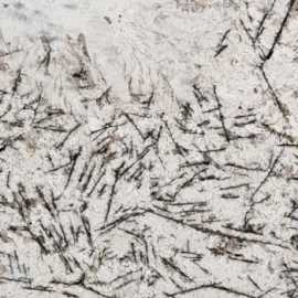 Unveiling the Beauty: The World of Indian Granite, Udaipur
