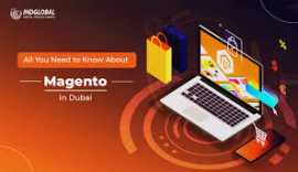 Looking Top Company For Magento development in New, New York