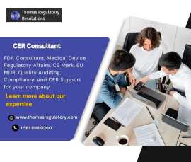 An Ultimate Guide to Hire Professional FDA Regulat, New York