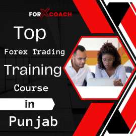 Top Forex Trading Training Course in Punjab, Mandi